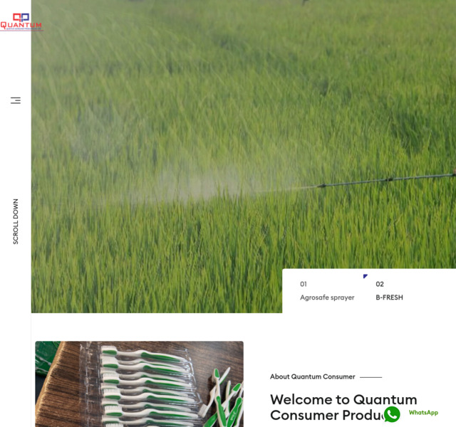Website